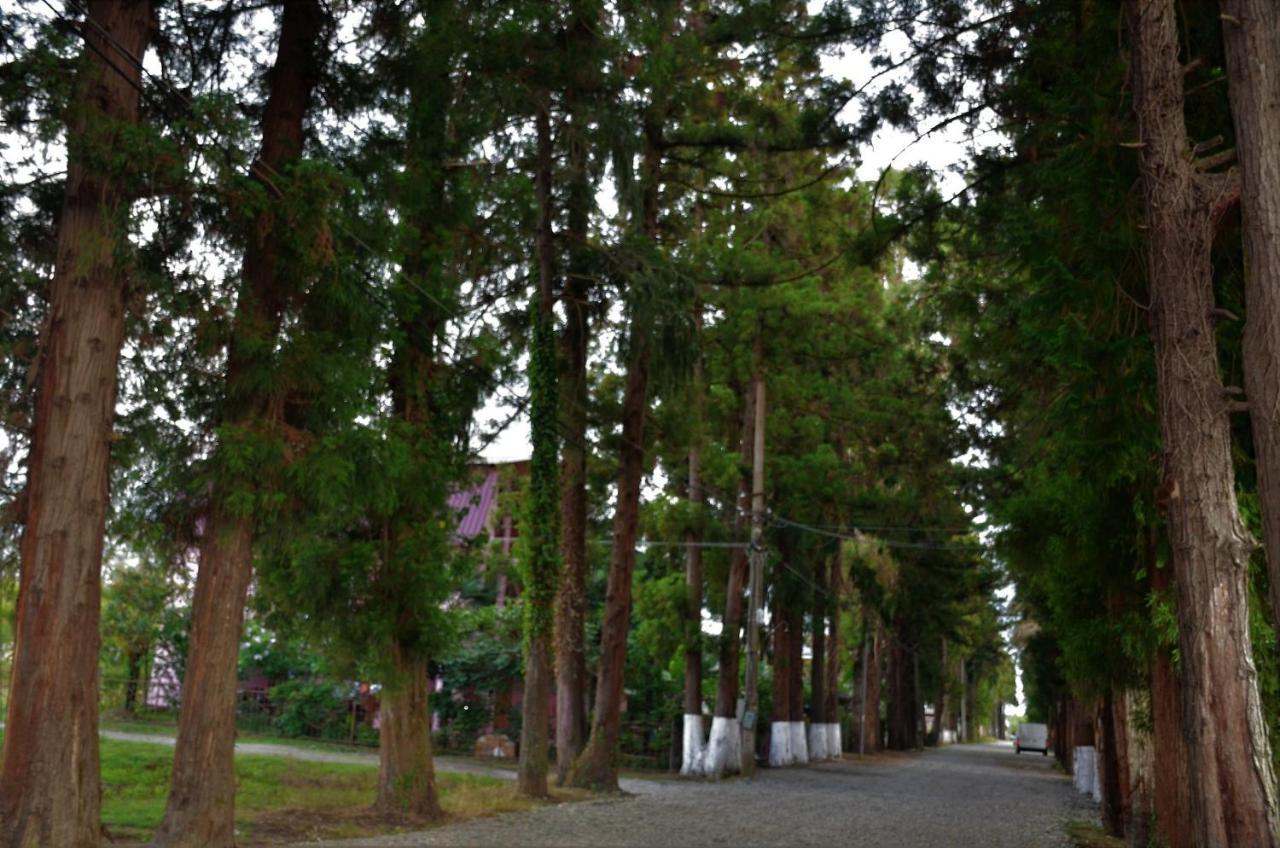 Maka Bed & Breakfast Ureki Exterior photo